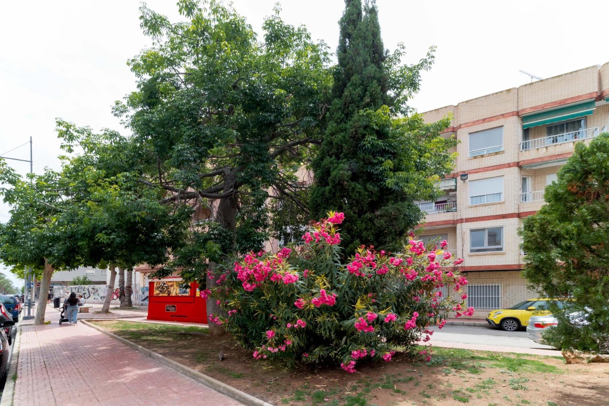 Espanatour Vicente Blasco Ibanez 146 Apartment Torrevieja Exterior photo